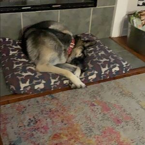 Meet your Posher, Rick